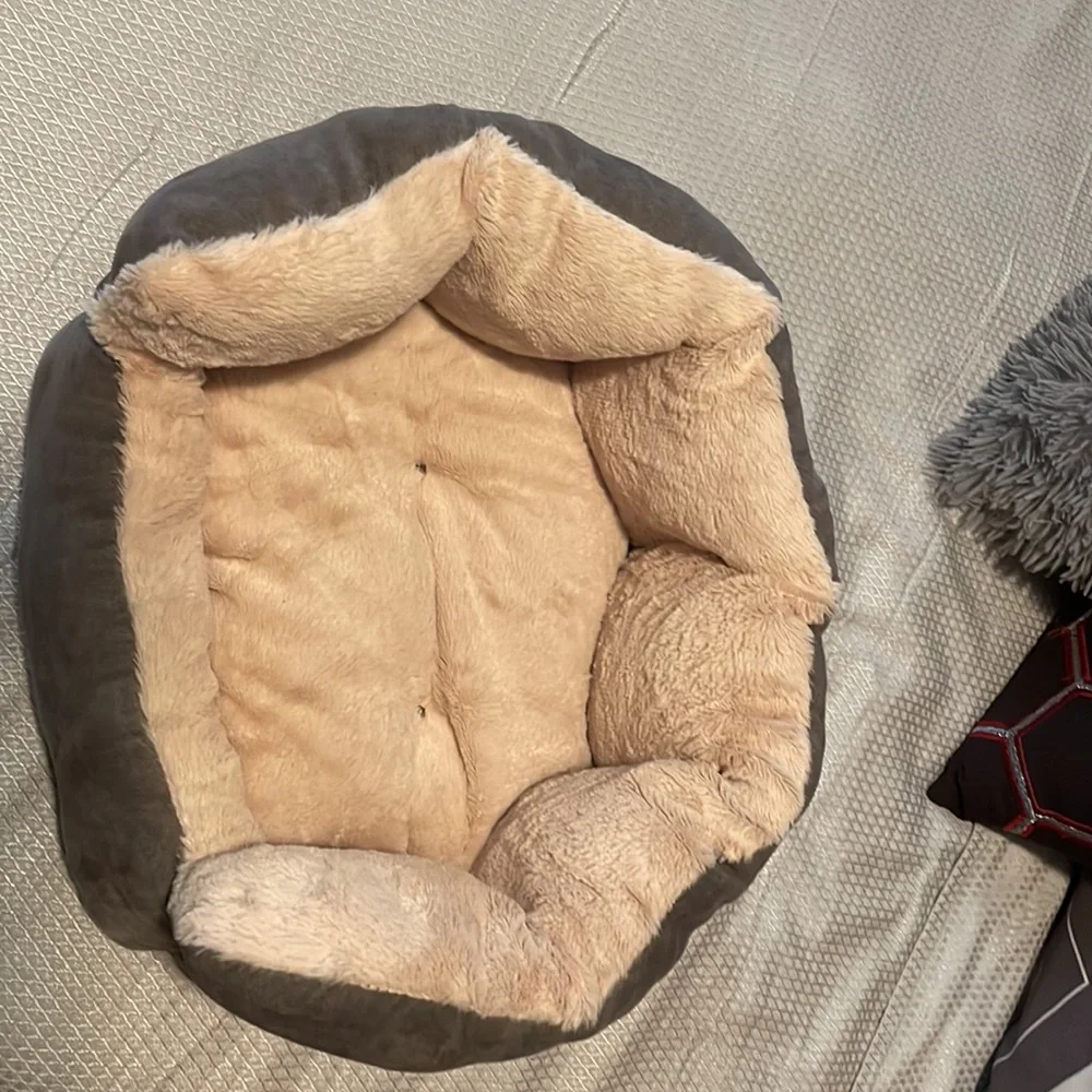 Used for kittens small dog or puppy.Gray on the outside and cream color inside